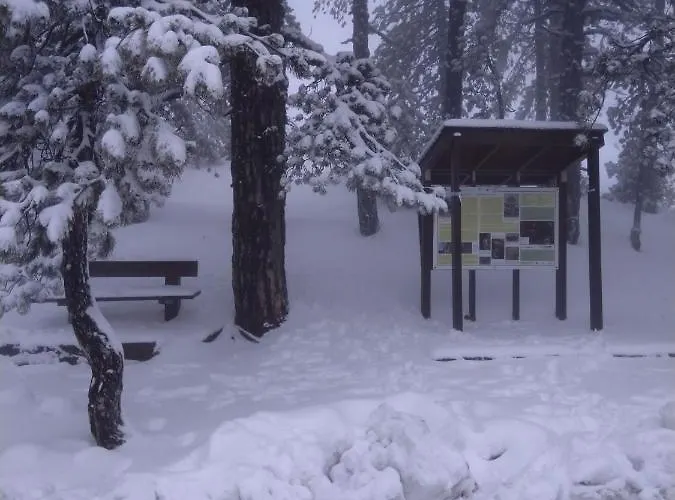 The House Of Pericles